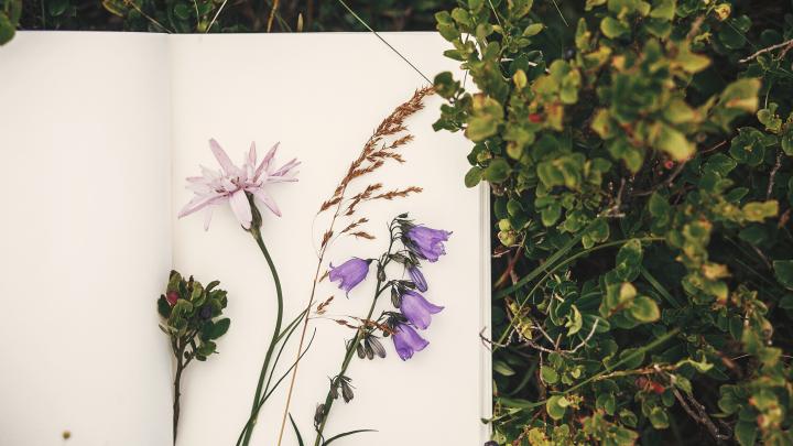 Notesblok med tørrede blomster i 