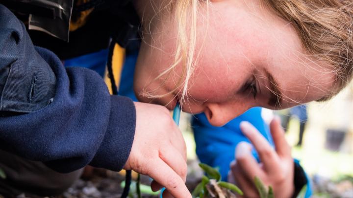 Mærk roen i og følelsen af naturen